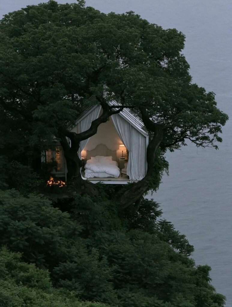 JUNGLE & HOUSE