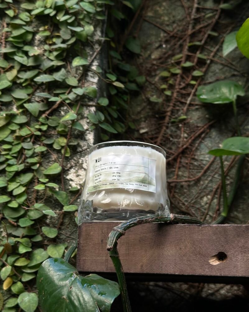 Hũ nến thuỷ tinh ZUNGZA giữa vòm lá xanh - Hai hướng nước hoa LEU HEU và LO THO