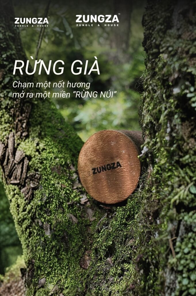 Nến thơm vỏ quế ZUNGZA đặt giữa nền rêu và tán dương xỉ - Mang một chút rừng vào trong nhà