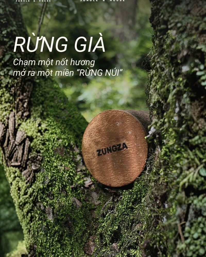 ZUNGZA cinnamon bark candle set among moss and ferns — Bringing a little forest into the house