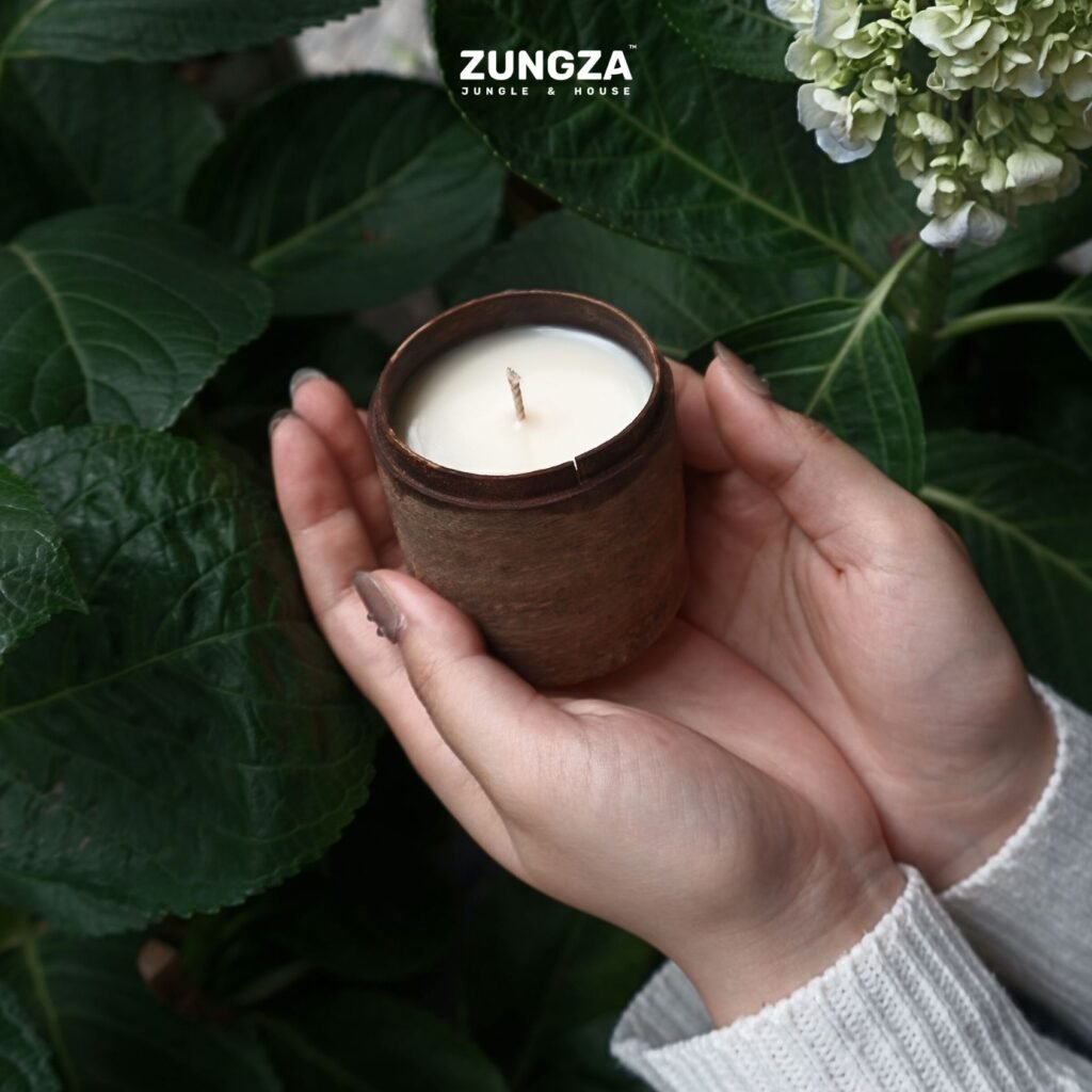 Nến thơm vỏ quế ZUNGZA đặt giữa nền rêu và tán dương xỉ - Quà cho người thích đi rừng và cắm trại
