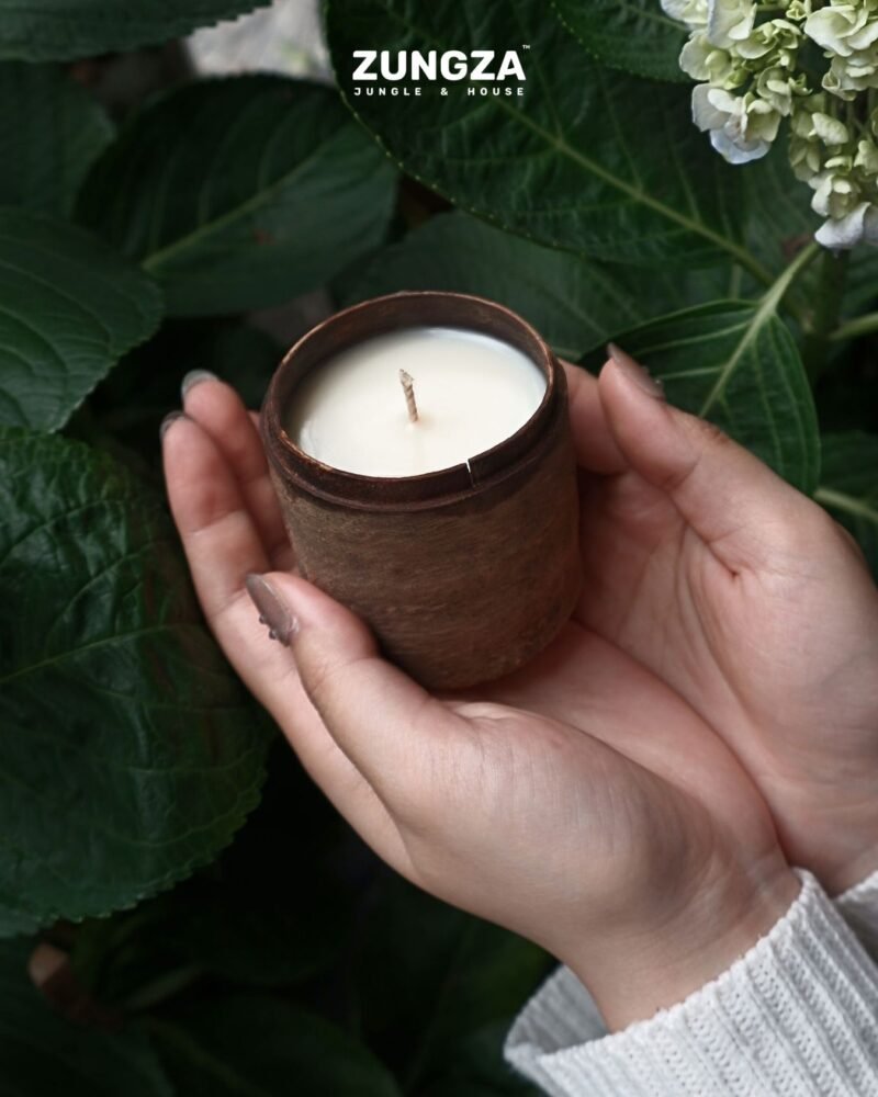 ZUNGZA cinnamon bark candle set among moss and ferns — Gifts for someone who loves the forest and camping