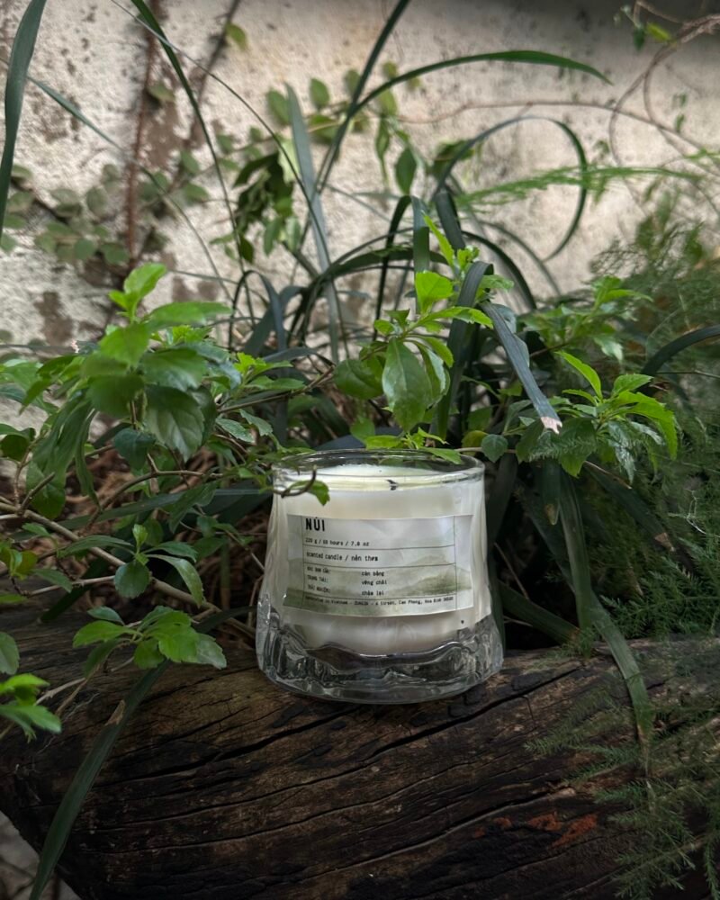 A ZUNGZA glass candle jar among green leaves — ZUNGZA is read as Rung Gia, the old forest